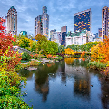 New York City Green Space Central Park